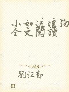 小如流浪狗01全文阅读封面
