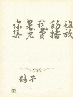 你是我的姐妹全集免费播放电视剧