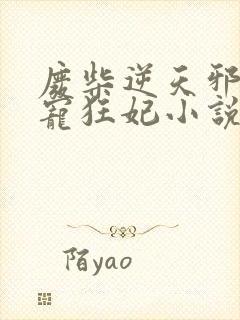 废柴逆天邪王霸宠狂妃小说封面