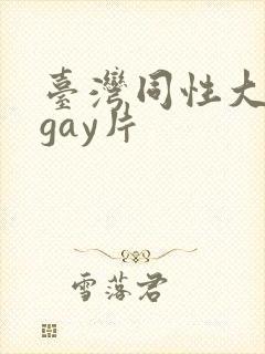 台湾同性大尺度gay片封面