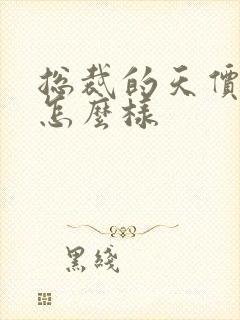 总裁的天价前妻怎么样