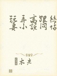 玩弄高跟丝袜人妻小说网站