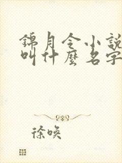 锦月令小说原著叫什么名字封面