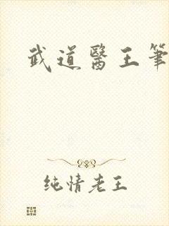 武道医王笔趣阁