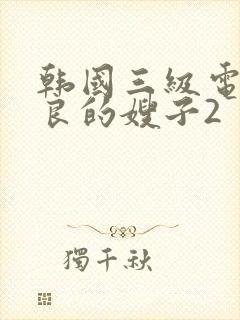 韩国三级电影善良的嫂子2封面