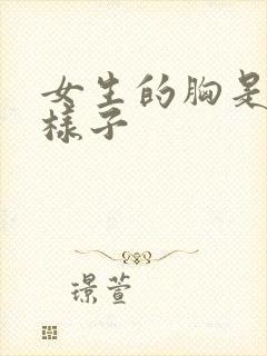 女生的胸是什么样子