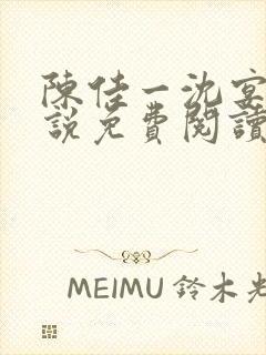 陈佳一沈宴西小说免费阅读