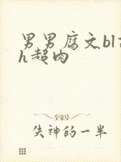 男男腐文bl高h超肉封面