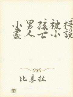 小男孩被榨精精尽人亡小说封面