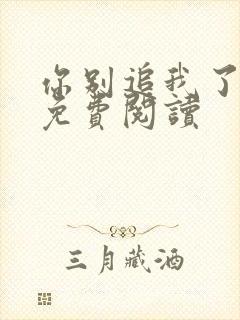 你别追我了小说免费阅读