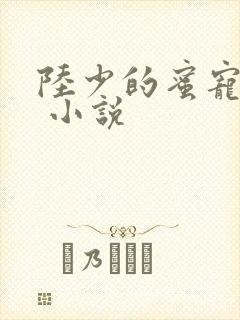 陆少的蜜宠甜妻 小说