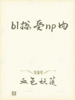 bl总受np肉