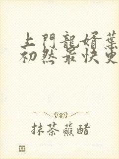 上门龙婿叶辰萧初然最快更新章节