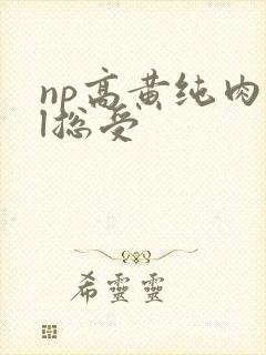 np高黄纯肉bl总受