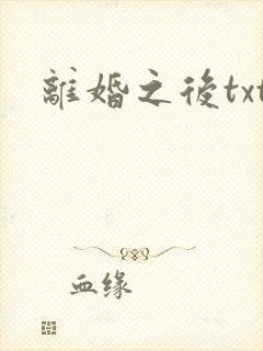 离婚之后txt封面