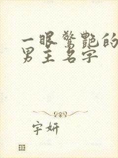 一眼惊艳的小说男主名字