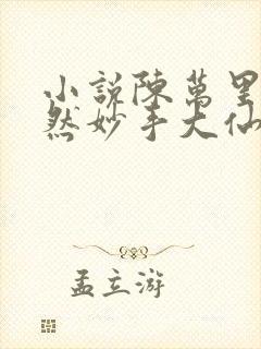 小说陈万里唐嫣然妙手大仙医