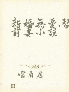 新婚无爱,替罪前妻小说封面