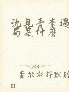 沈见青李遇泽结局是什么