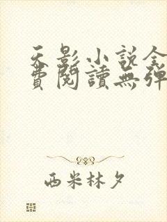 天影小说全文免费阅读无弹窗封面