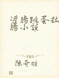 灌肠跳蛋拉珠浣肠小说