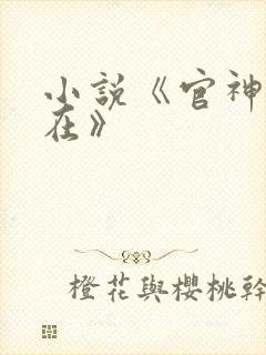 小说《官神何常在》封面