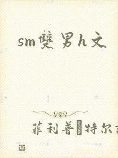 sm双男h文