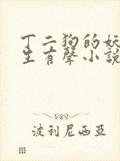 丁二狗的妖孽人生有声小说