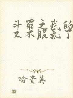 斗罗之我的系统又不服气了小说免费阅读