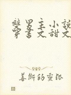 双男主小说推荐穿书文甜文