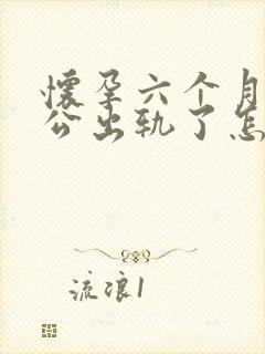 怀孕六个月多老公出轨了怎么办