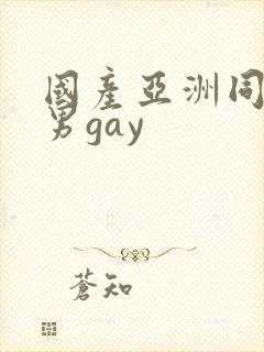 国产亚洲同性男男gay