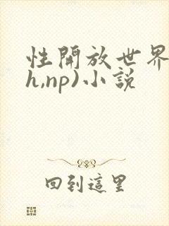性开放世界(高h,np)小说