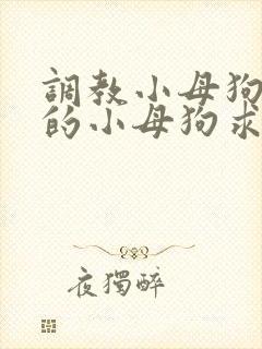 调教小母狗 操的小母狗求饶封面
