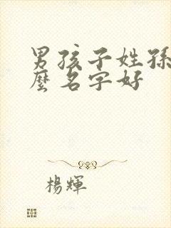 男孩子姓孙起什么名字好封面