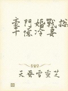 豪门婚战总裁的千亿冷妻