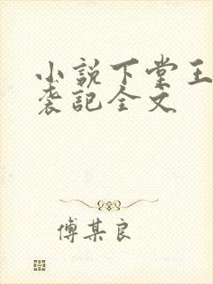 小说下堂王妃逆袭记全文