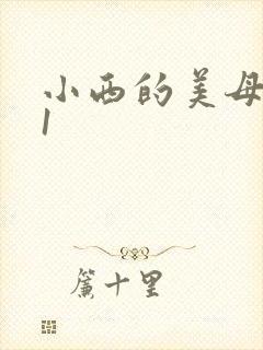 小西的美母教师1
