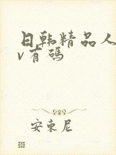 日韩精品人妻av有码