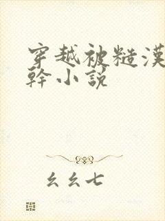 穿越被糙汉天天干小说