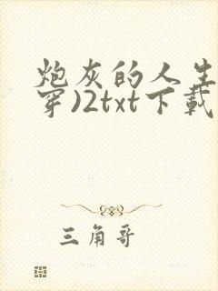炮灰的人生(快穿)2txt下载