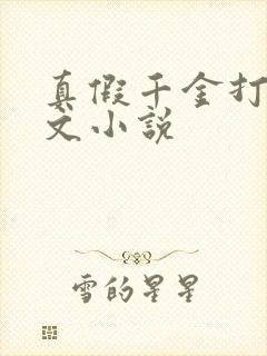 真假千金打脸爽文小说封面