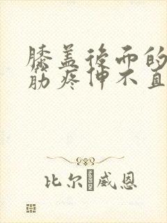 膝盖后面的腿窝筋疼伸不直封面