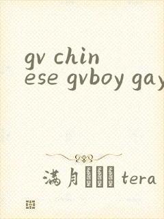 gv chinese gvboy gay tube