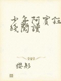 少年阿宾钰慧在线阅读