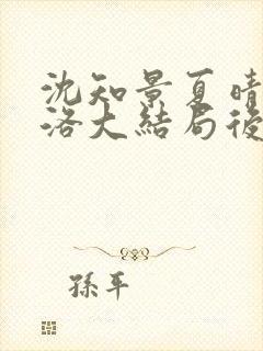 沈知景夏晴白洛洛大结局后续