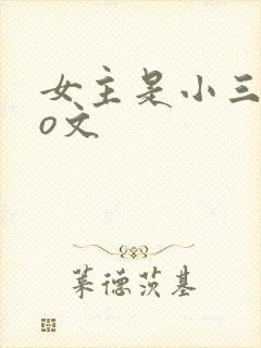 女主是小三的po文