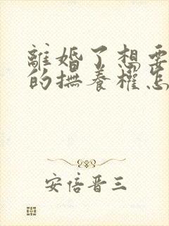 离婚了想要孩子的抚养权怎么要