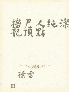 捞尸人纯洁滴小龙顶点