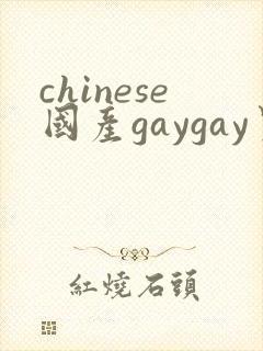 chinese国产gaygay男男网站封面